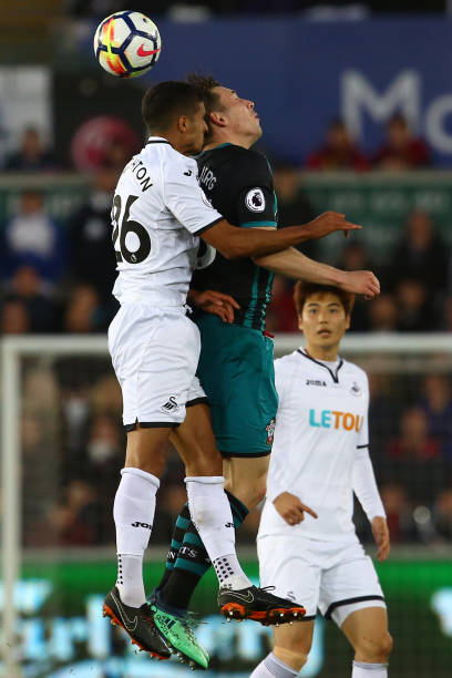 小熊虽在场 小熊虽在场