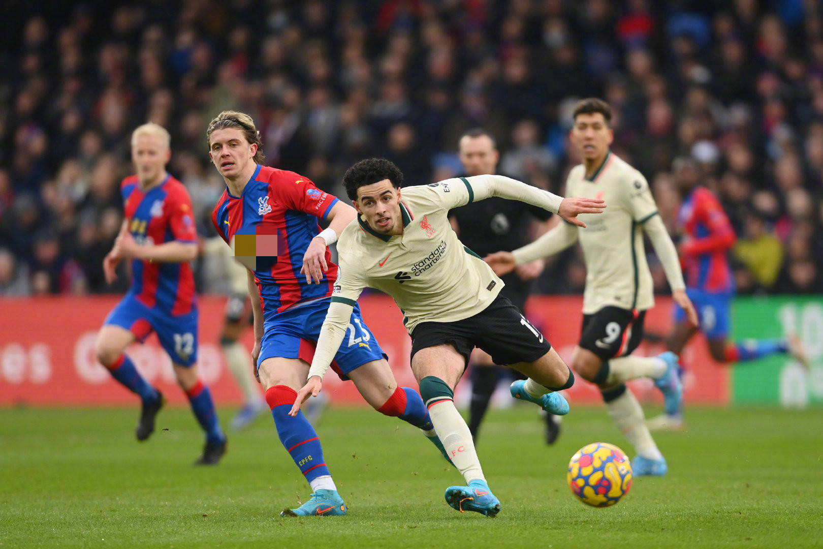 大批国内外 大批国内外